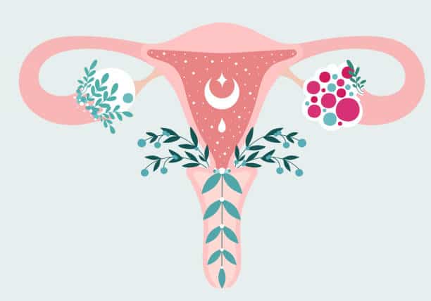 Women's reproductive health for IVF