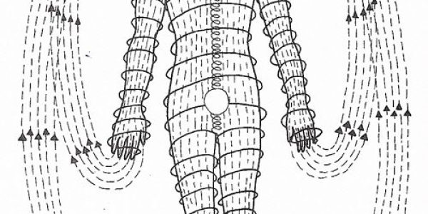 Scientific Qi Exploration_ The Extraordinary Meridians or Vessels (2)