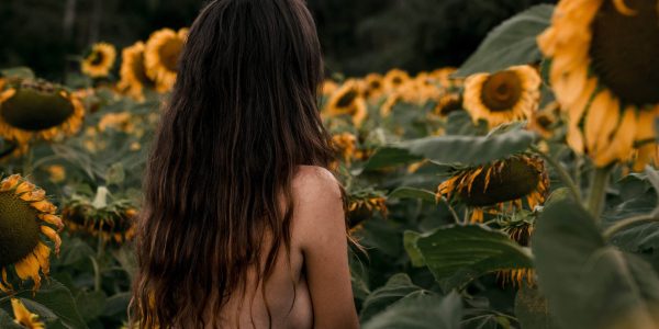 photo-of-topless-woman-near-sunflowers-2704051